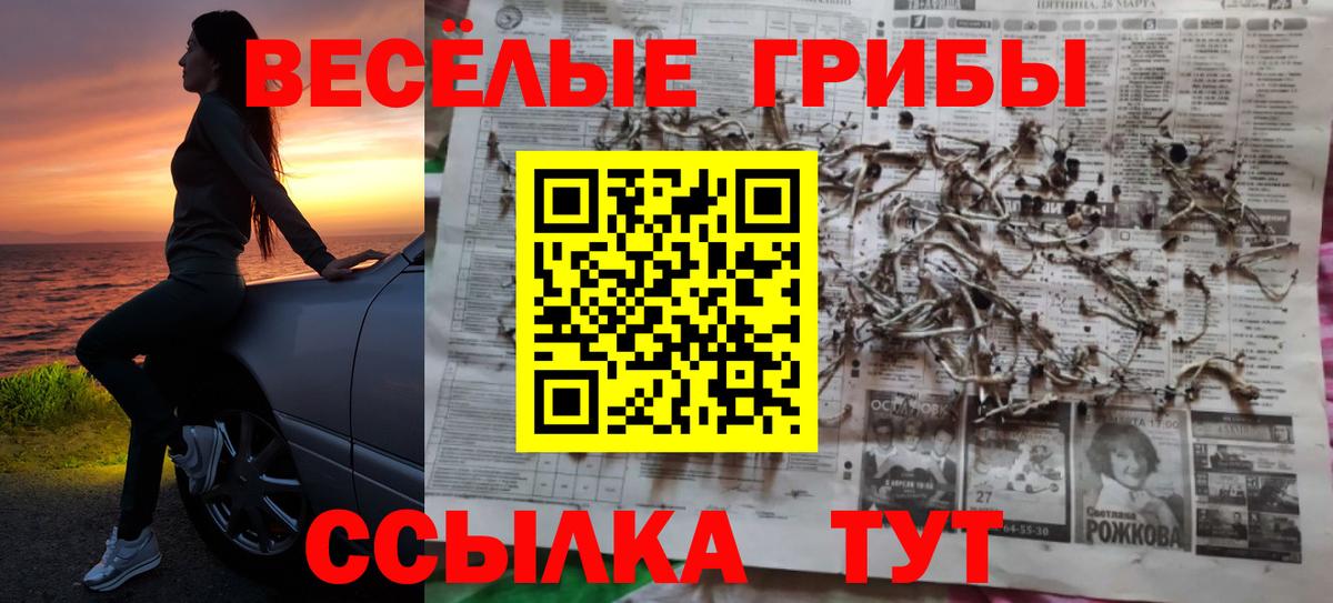Псилоцибиновые грибы Psilocybine cubensis  Вход с VPN  Химки  Псилоцибиновые грибы мицелий 