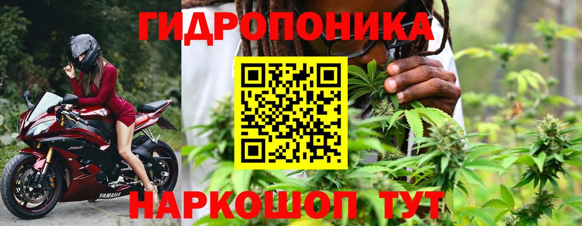 МАРИХУАНА индика  Шишки марихуана семена  Химки  Вход с VPN  Бошки Шишки семена 